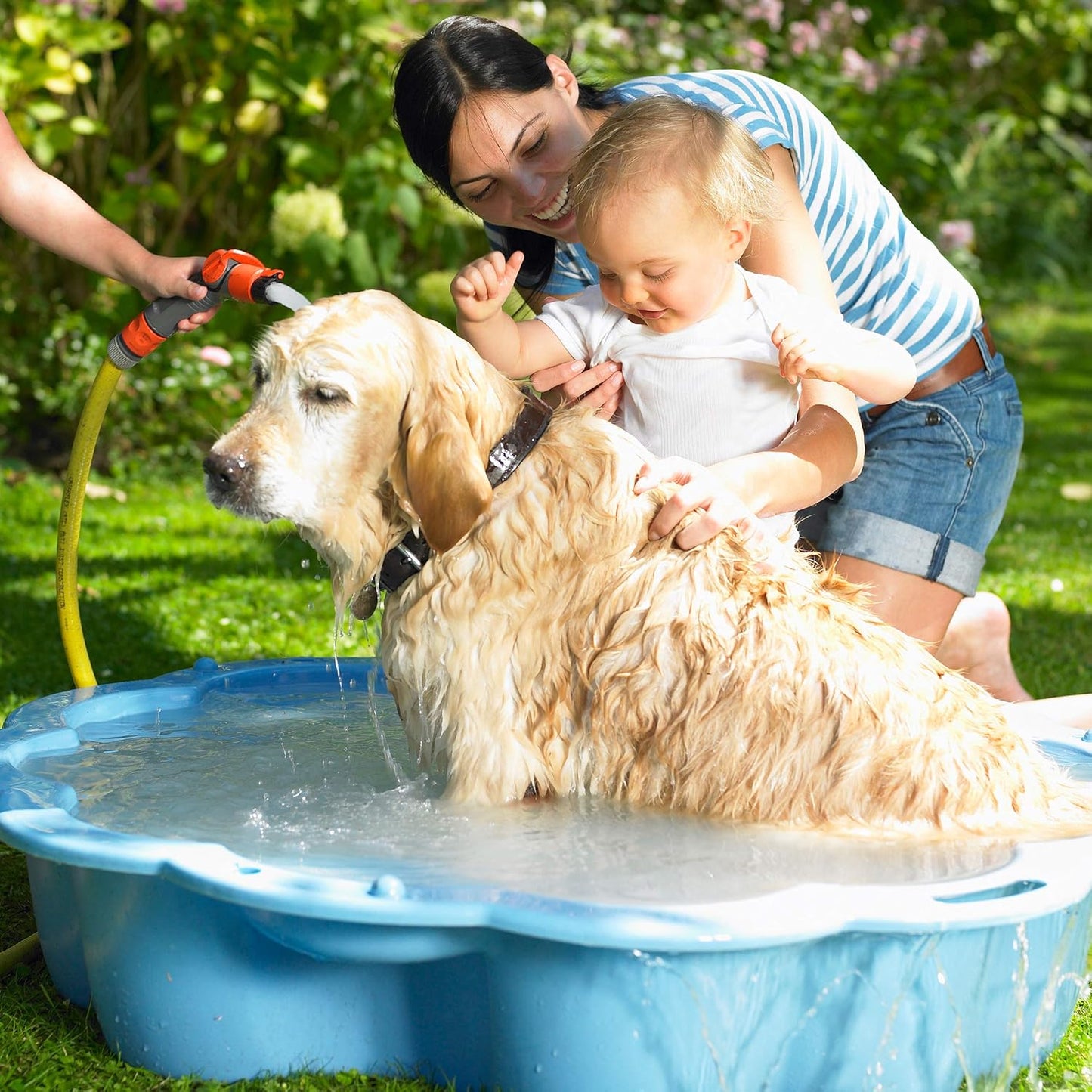 Hair Scalp Brush Dandruff Cleaning Brush Shower Scalp Shampoo Brush Scalp Massager Pack of 4 (White and Green)