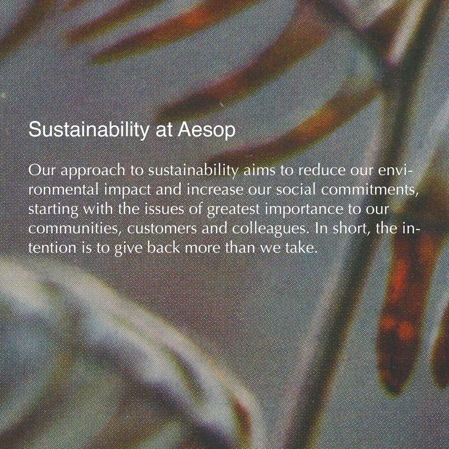 Aesop Rejuvenate Intensive Travel Body Balm | Deeply Nourish Very Dry Skin with Shea Butter and Coconut Oil | 3.4oz / 100 mL