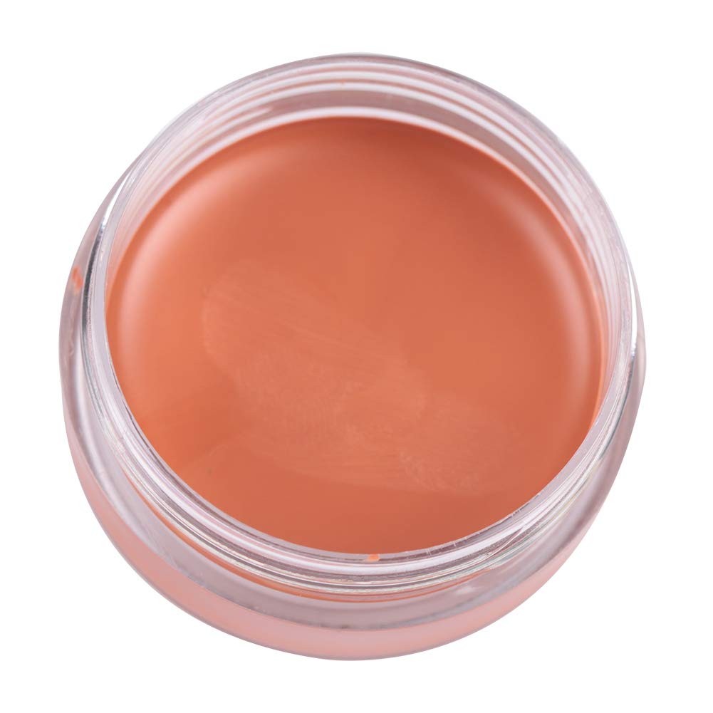 Concealer Conceal Dark Circles Eye Bags Acne Marks Makeup (FC04)