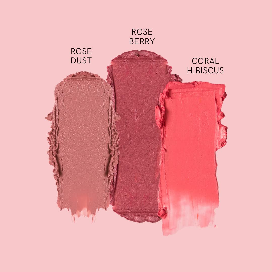 HAN Skincare Cosmetics Vegan, Cruelty-Free 3-in-1 Multistick for Cheeks, Lips, Eyes, Coral Hibiscus | Large