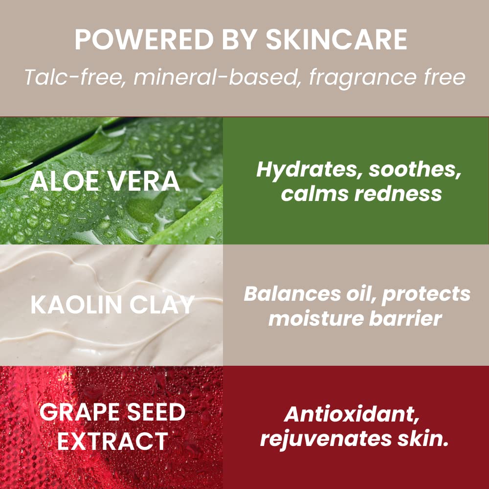 True + Luscious Sheer Halo Complexion Powder – Natural Matte Finish Foundation, Sheer to Medium Coverage – Clean, Vegan and Cruelty Free Powder Foundation – 0.32 oz