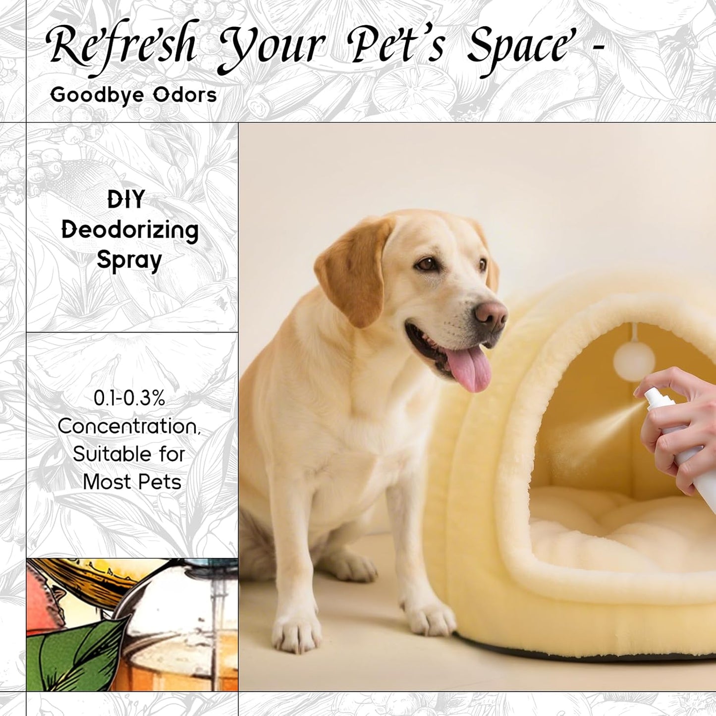 HIQILI Blood Orange Dusk Fragrance Oil for Diffuser, Inspired by Alr-Cologne Or.San-guine, Candle, Soap, Perfume, Spary Making, Citrus Scent, Long-Lasting Aroma - 5.07 Fl Oz