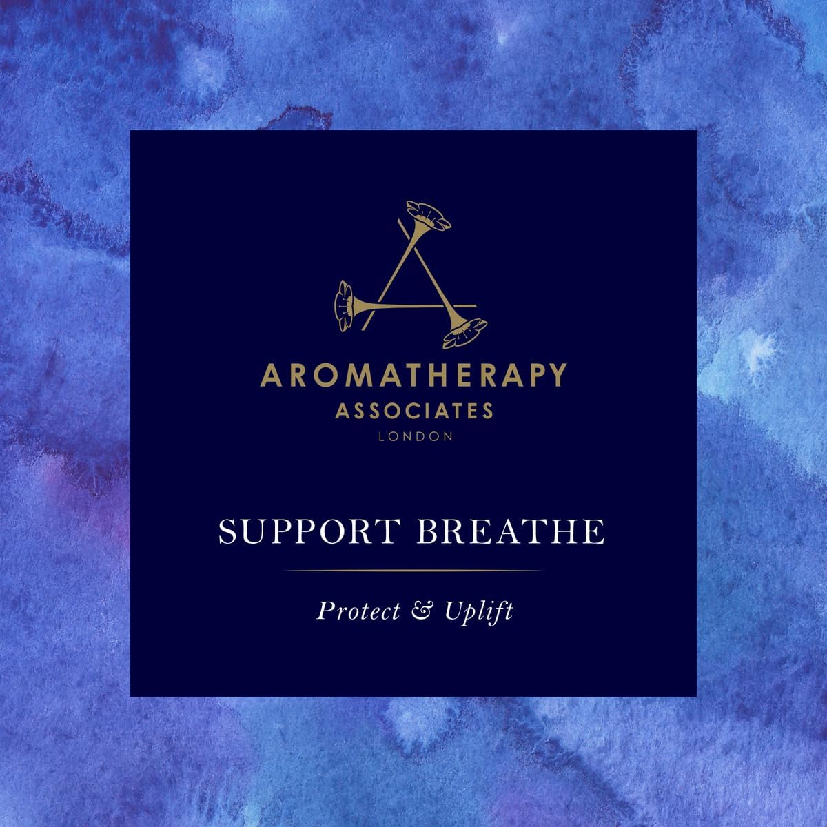 Aera Mini Support Breathe Aromatherapy Essential Oil Home Fragrance Scent Refill - Notes of Eucalyptus, Tea Tree and Pine - Works with The Aera Mini Diffuser, Mini Scent Capsule Size