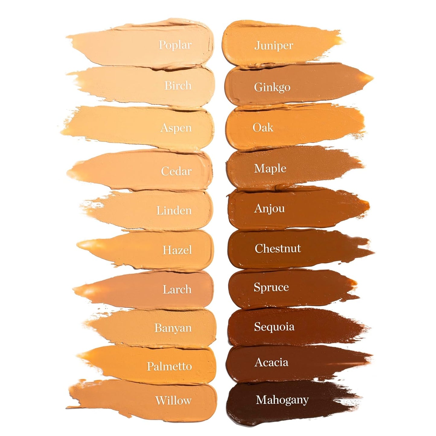 Ogee Sculpted Complexion Foundation Stick (Ginkgo 5.00N - Medium Tan, Neutral Undertones) Full Coverage Foundation Makeup - Instantly Balance & Even Complexion - 70% Organic Ingredients