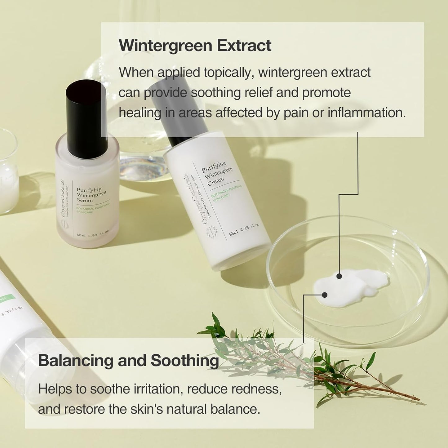 Two-Step Acne Treatment Kit, OxygenCeuticals Purifying Kit, 2 products, Serum + Moisturizer, Breakout Prevention, Acne & Blemish Control, for teens, tweens, males and females, Made in Korea
