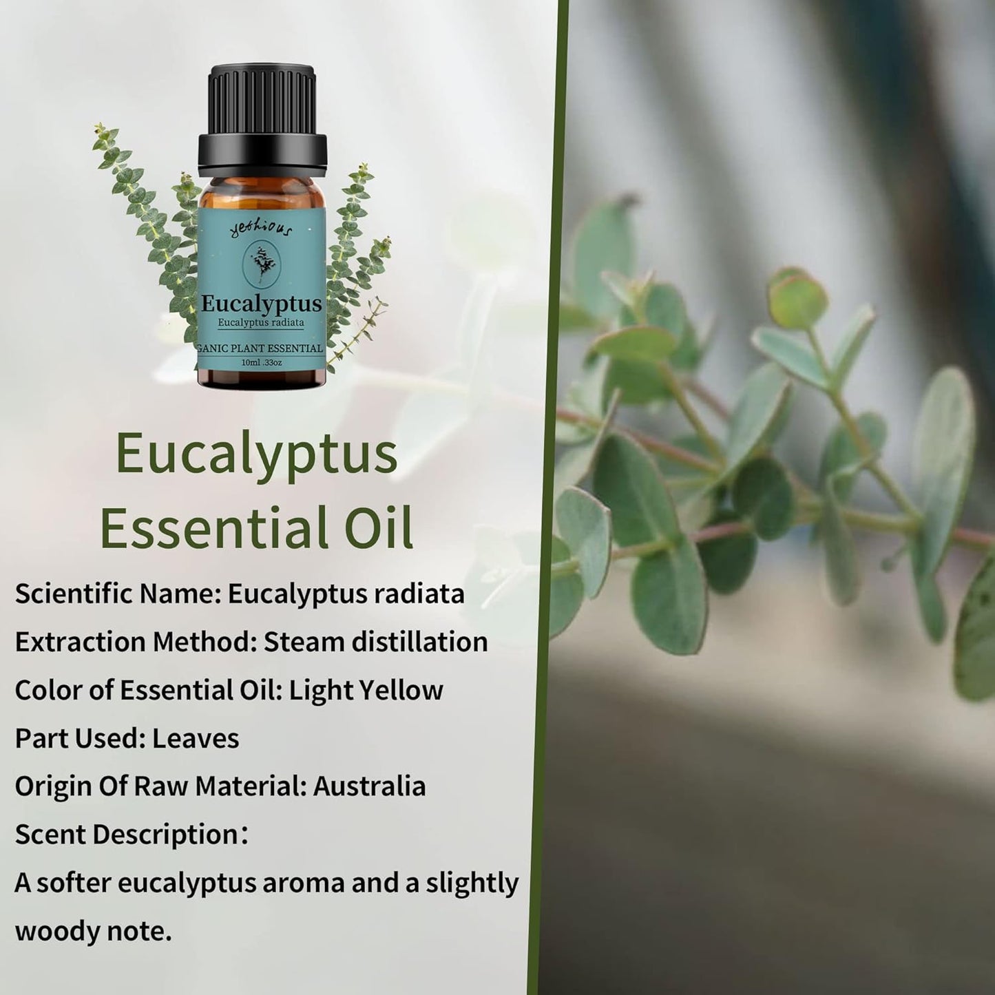 yethious Lavender Eucalyptus Essential Oil Organic Pure Plant Lavender Oil Essential Oil for Diffuser, Skin, Hair Care
