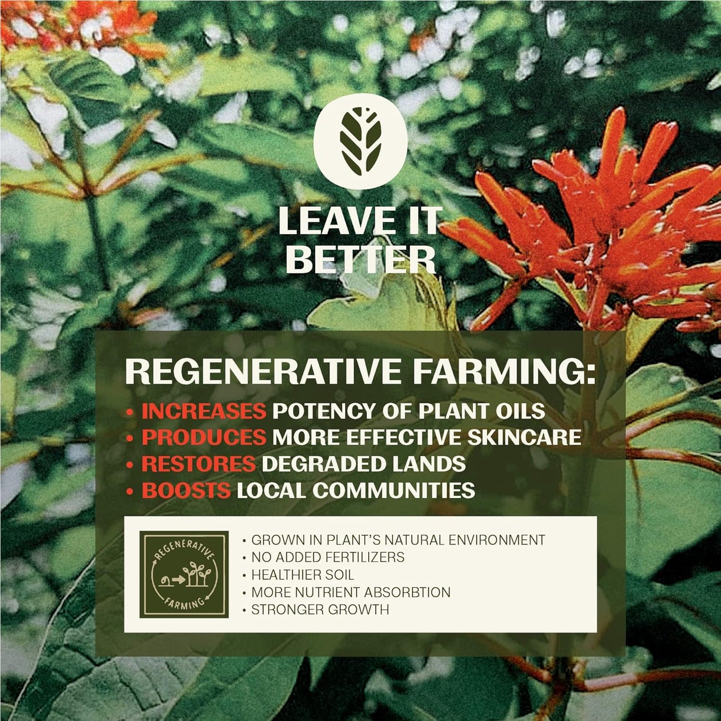 Thrive Natural Care Natural Bakuchiol Serum for Face - Healthier Retinol Alternative includes Hyaluronic Acid - Collagen Boosting Face Serum for Brighter, Firmer Skin - Vegan, Made in USA