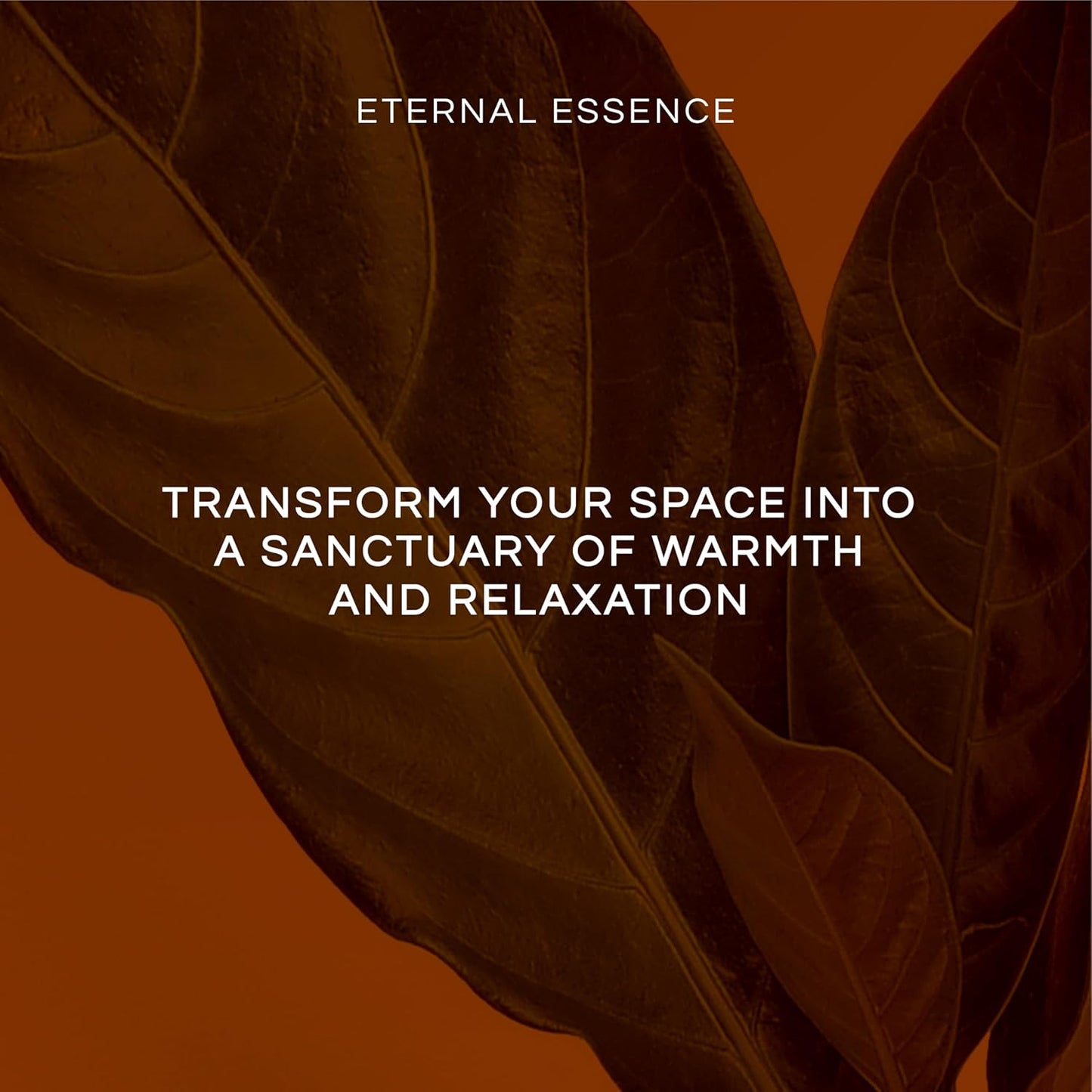 Eternal Essence Oils Fruity Set of 6 Premium Fragrance Oils - Includes Apple, Mango Madness, Honeydew Melon, Strawberry, Pear, and Grapefruit Scented Oil - 10ML