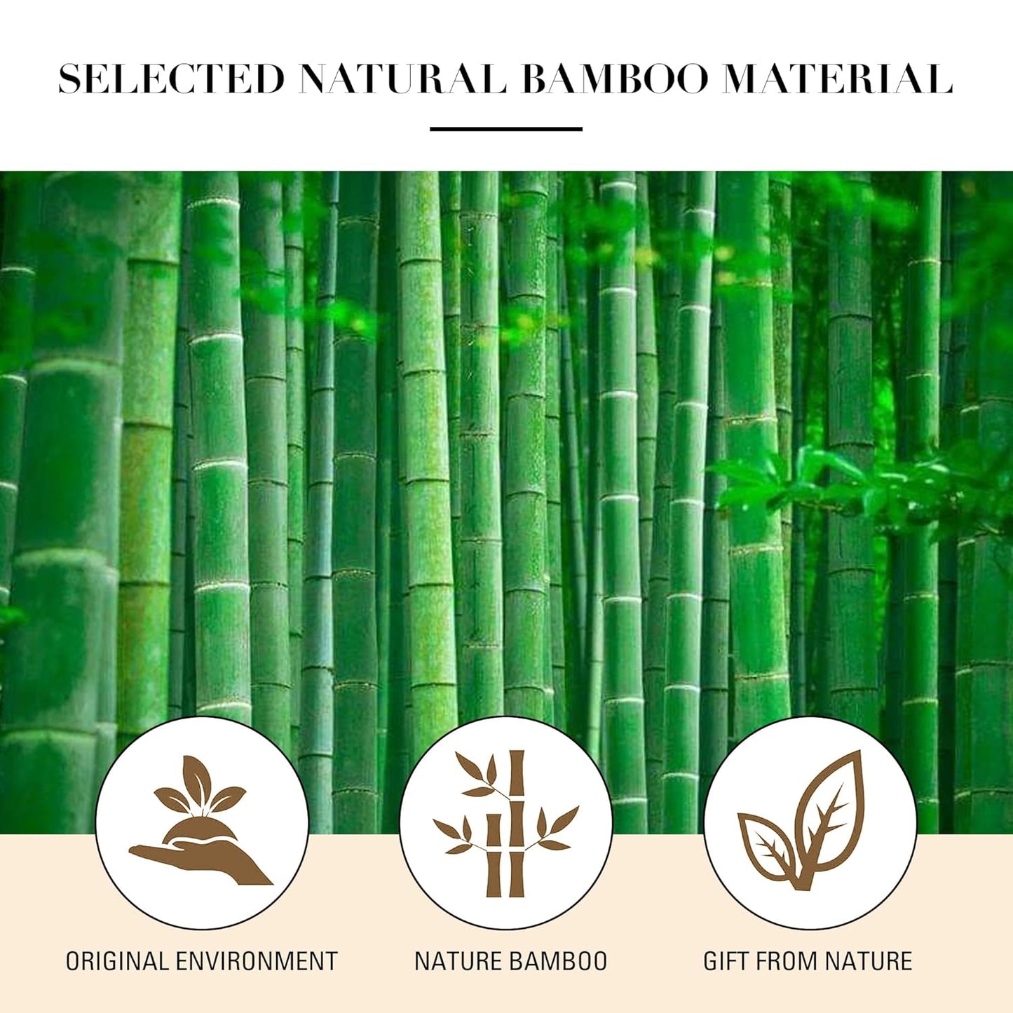 Bamboo Paddle Hair Brush with Metal Bristles – Anti-Static Detangling & Scalp Massage Hairbrush – Natural Wood Handle – All Hair Types for Women, Men & Kids