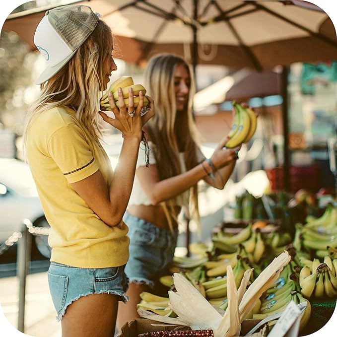 Sun Bum Piña Colada Cocobalm | Hydrating Lip Balm with Aloe | Hypoallergenic, Paraben Free, Silicone Free, | 0.15oz Stick (20-48058)