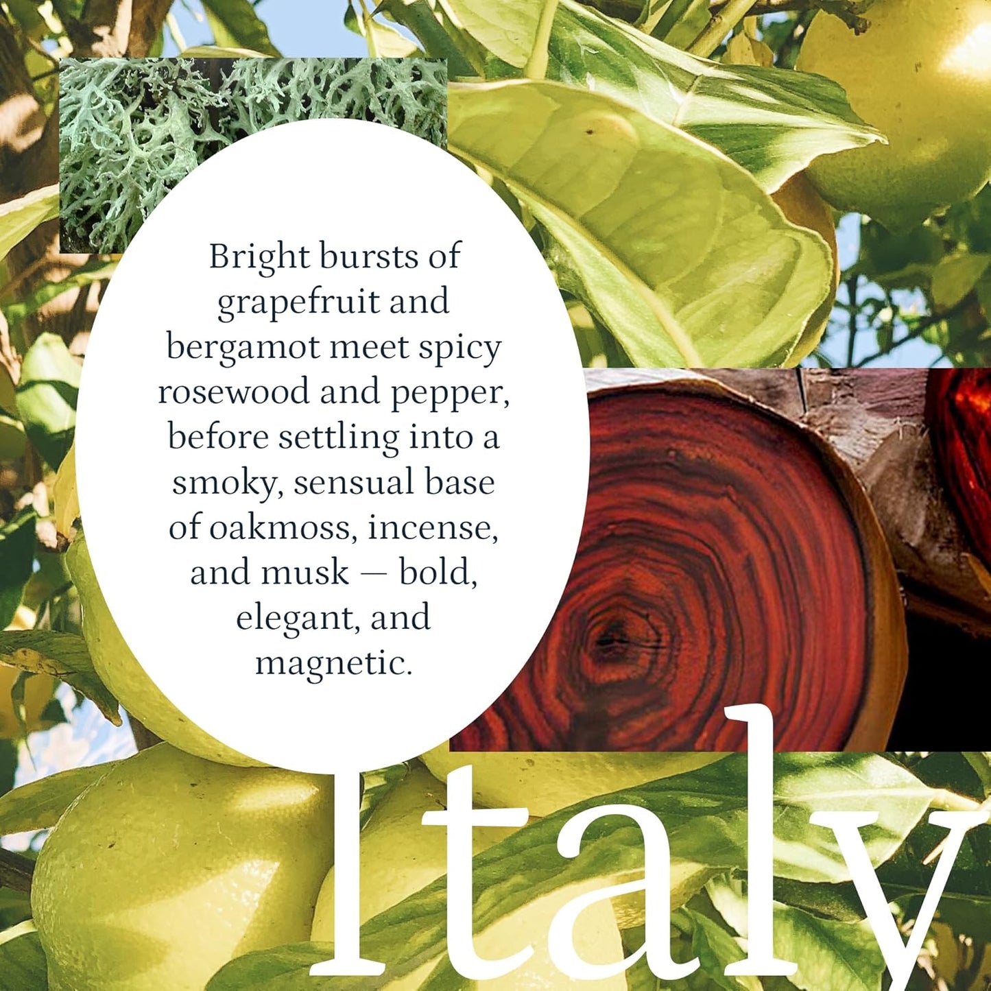 PuroSentido Italy Aroma Oil (500 ml) - Luxury Fragrance Oil for Diffusers and Humidifiers, Sicilian Lemon, White Rose & Musk Home, Hotel & Spa Scent