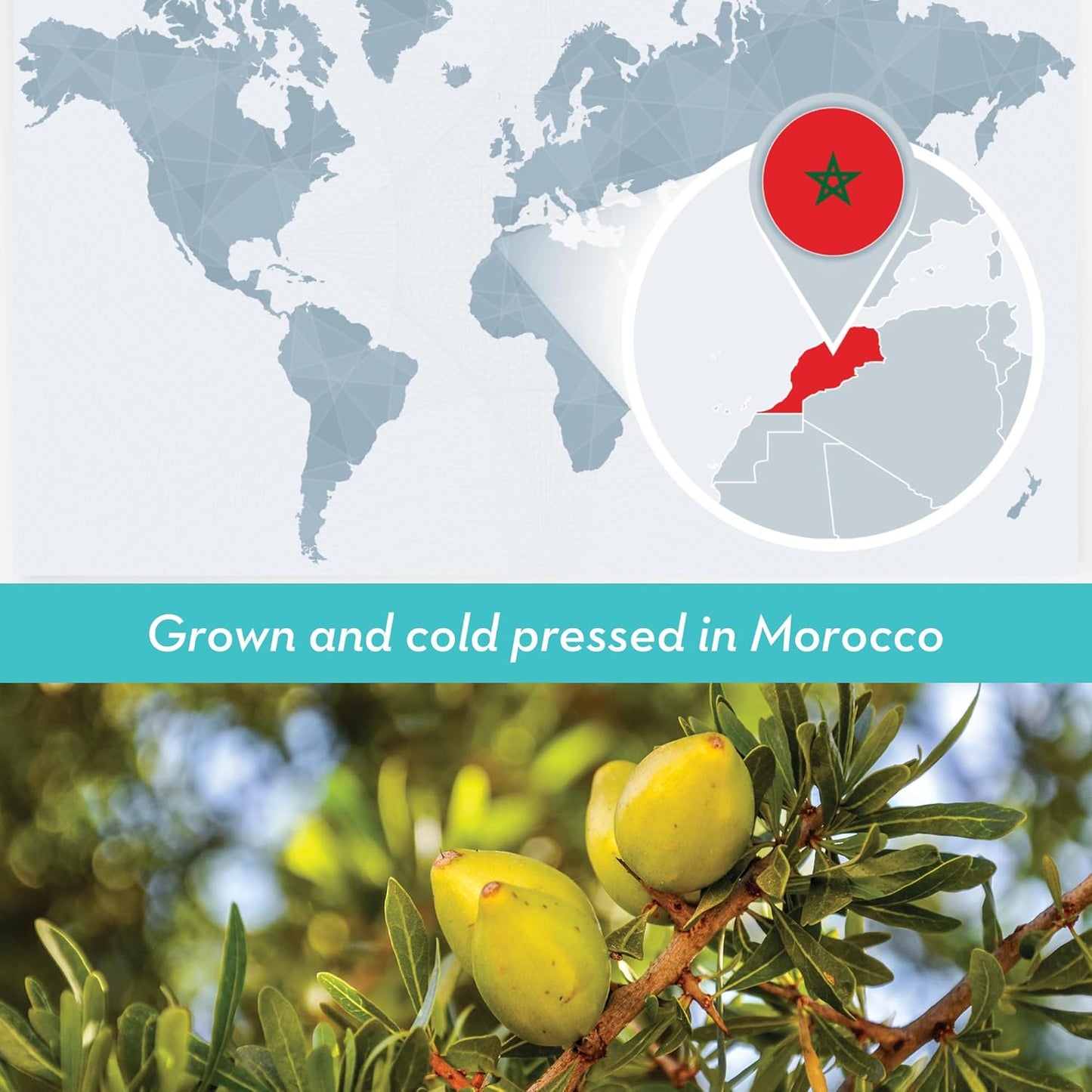 Bulk Argan Oil - 32 Fl Oz Large Size Bottle - Natural, Cold Pressed, 100 Percent Pure Argan Oil for Homemade Hair, Face and Skin Products - Light Aceite de Argan Carrier Oil