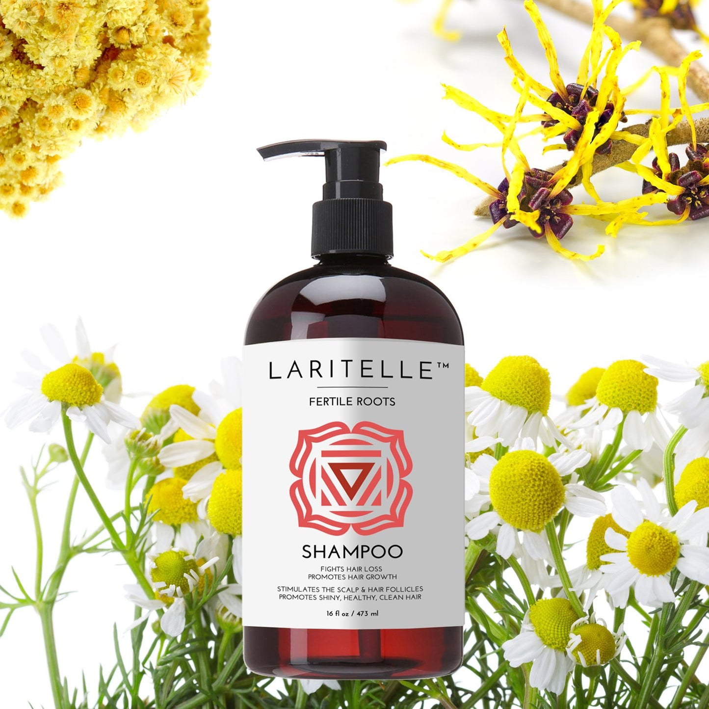 Organic Shampoo 17 oz + Conditioner 16 oz | Prevents Hair Loss, Promotes Hair Growth | Ayurvedic Herbs, Lavender, Ginger & Rosemary | NO GMO, Sulfates, Gluten, Alcohol, Parabens, Phthalates